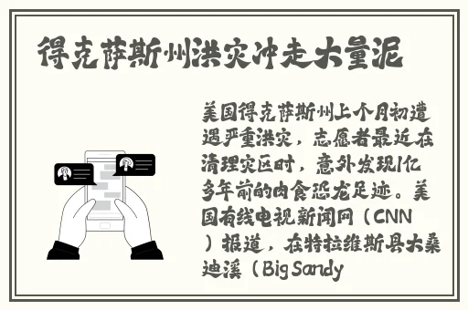 竹夫人在线观看